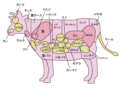牛肉の部位
